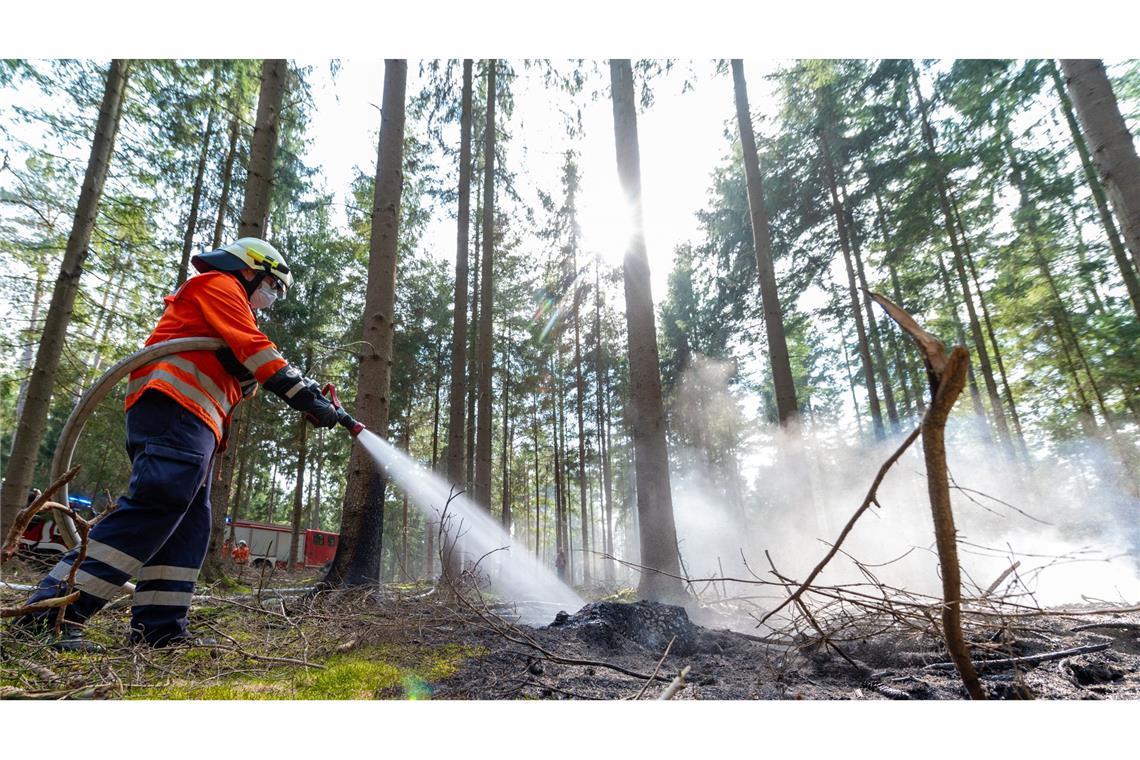Die Waldbrandgefahr in Baden-Württemberg ist hoch.