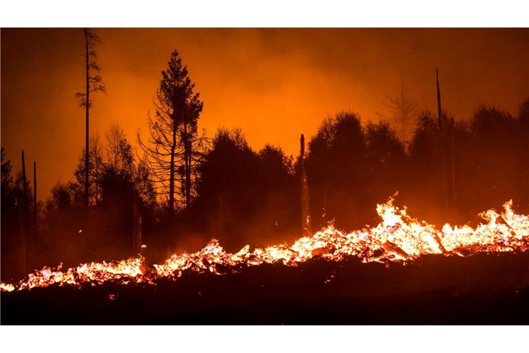 Die Waldbrandgefahr steigt mit dem Klimawandel, da Dürren häufiger werden. (Illustration)