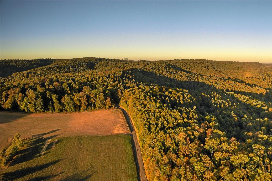 Waldbegehungen künftig ohne Förster Die Waldfläche zwischen Aspach (im Vordergrund) und Oppenweiler wurde bei einer Begehung der BI begutachtet. Archivfoto: Alexander Becher