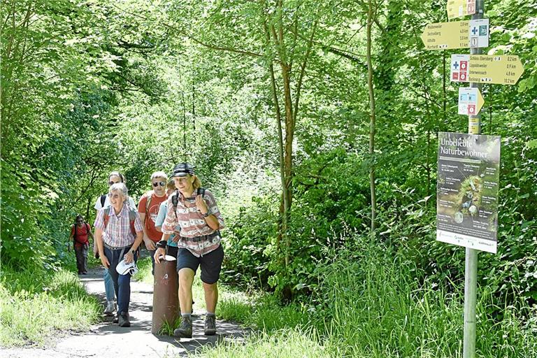 Die Wandergruppe um Irene Baum (links vorne) ist unterwegs in Richtung Schloss Ebersberg. Foto: Tobias Sellmaier