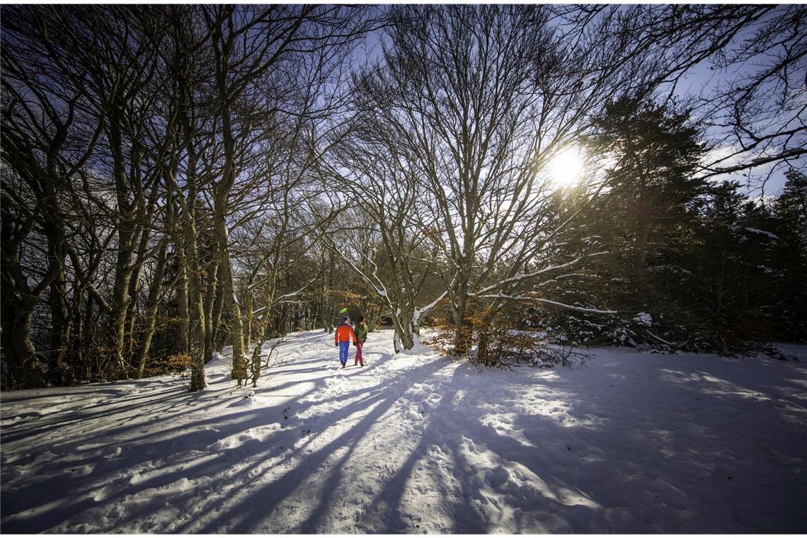 Die Wanderung Wintermärchen führt unter schneebedeckten Baumwipfeln hindurch. (Archivfoto)