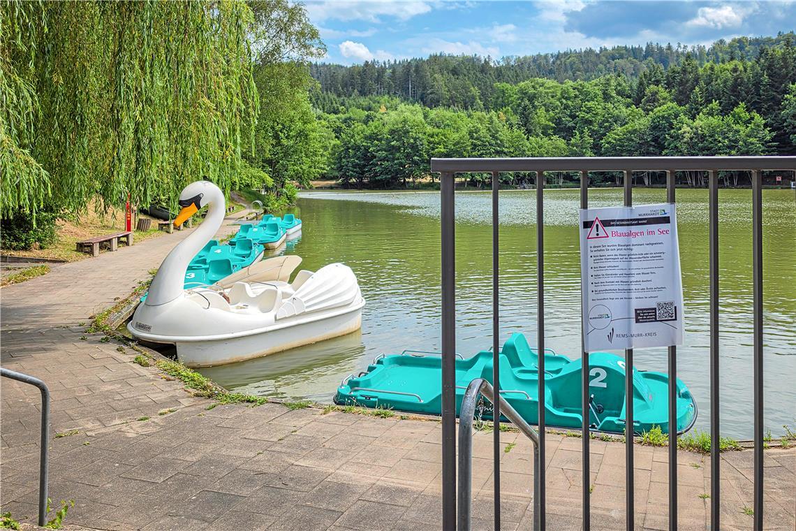 Die Warnschilder am Fornsbacher Waldsee werden entfernt. Archivfoto: Stefan Bossow