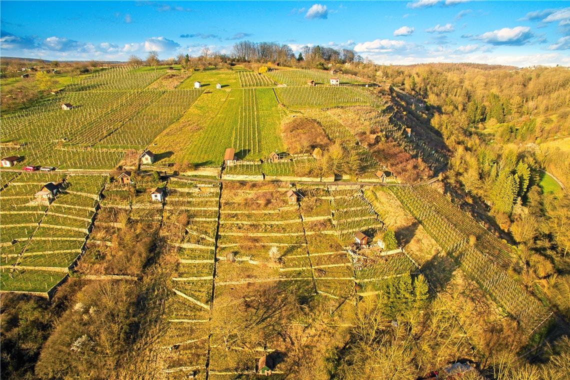 Oft Bodenfrost, aber mit viel Sonne Die Weinberge von Kirchberg an der Murr im Sonnenlicht. Da macht das Arbeiten gleich doppelt Freude. Foto: A. Becher