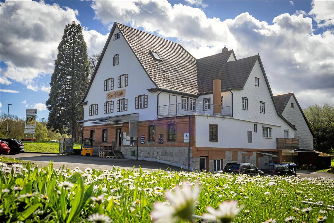 Die Weissacher Seemühle ist stark gefährdet. Archivfoto: Alexander Becher