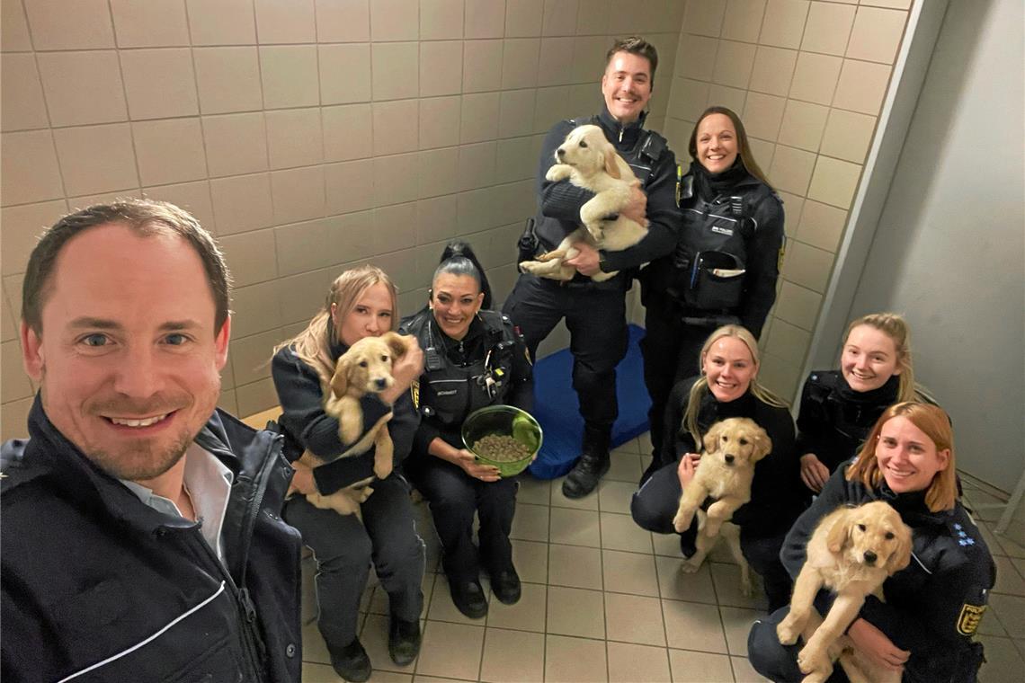 Die Welpen hatten eine Nacht in der Zelle bei der Polizei verbracht. Archivfoto: Polizei Aalen