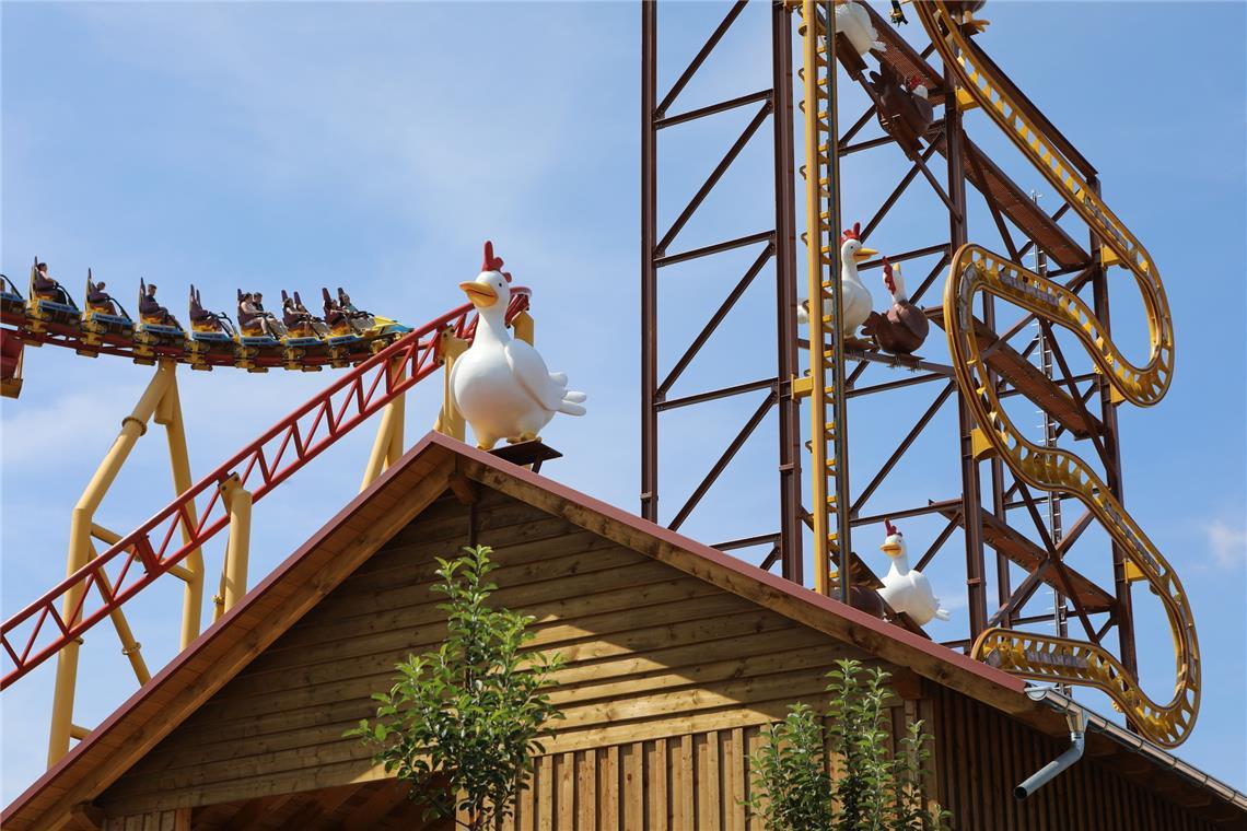 Turbo-Toni-wirbelt-im-Sommer-im-Schwaben-Park
