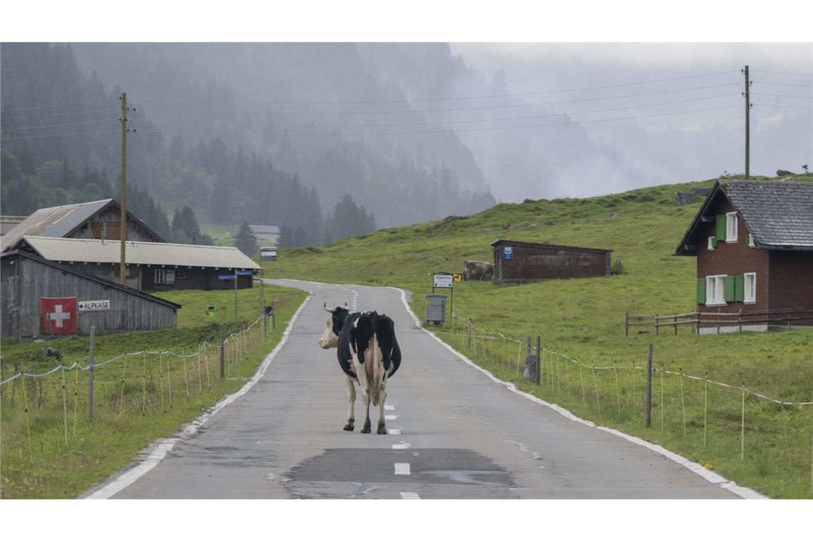 "Die Zahl der Deutschen mit Wohnsitz in der Schweiz steigt seit Jahren kontinuierlich", berichtete die Statistikbehörde. Binnen zehn Jahren erhöhte sich die Zahl der Deutschen in der Schweiz um 10,7 Prozent. (Archivfoto)