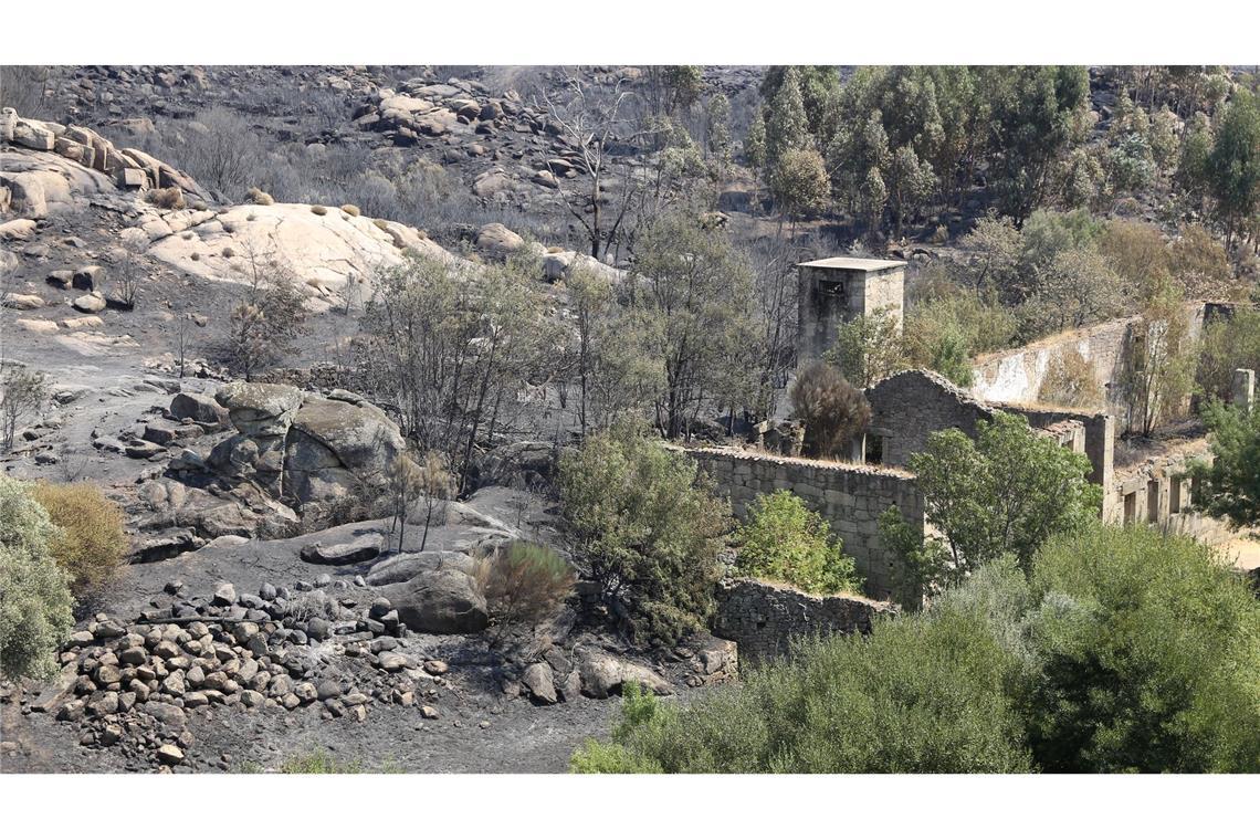 Bereits vier Tote bei Waldbränden in Portugal Die Zahl der Todesopfer der verheerenden Waldbrände ist in Portugal gestiegen. Historische Dörfer mussten evakuiert werden.