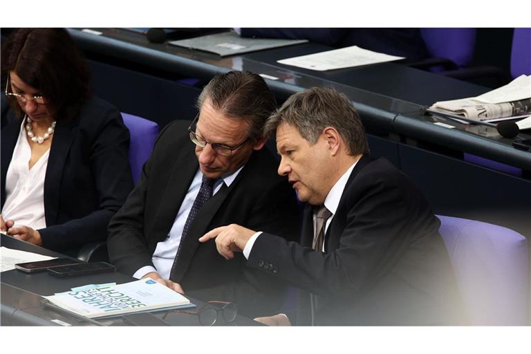 Die Zukunftspläne von Jörg Kukies und Robert Habeck werden konkreter. (Archivbild)