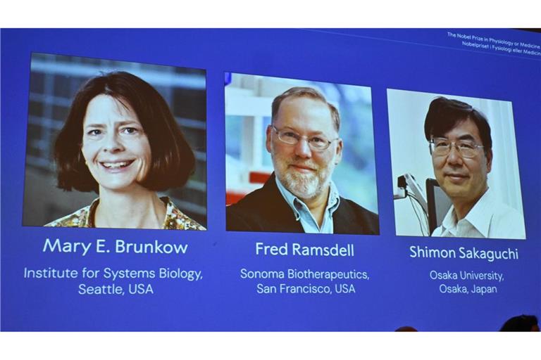 Diese drei Forschenden haben den Medizin-Nobekpreis bekommen.