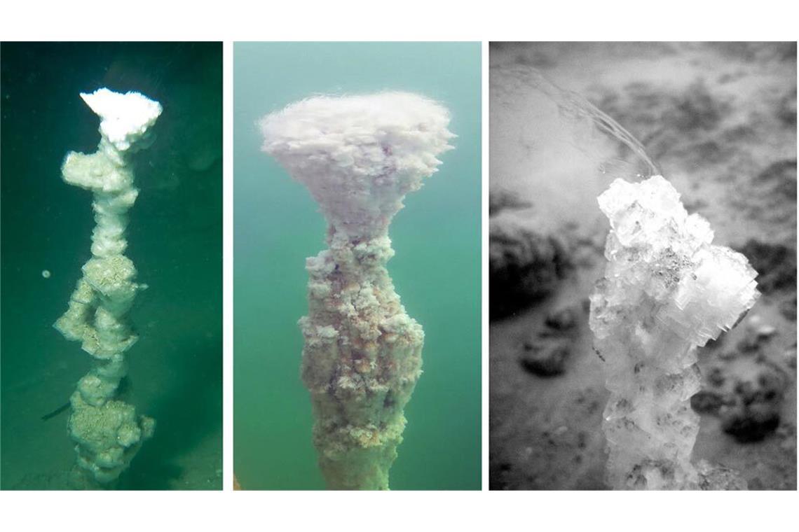 Forscher entdecken einzigartige Schlote im Toten Meer Diese weißlichen Gebilde sind neuartige Schlote aus Salzkristallen, die Forscher am Grund des Toten Meeres entdeckt haben.