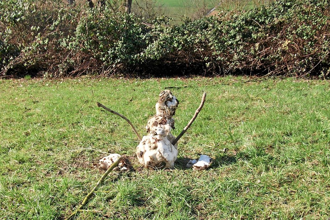Der Schneemann weckt das Kind in jedem Dieser Eintagsschneemann ist Ende Februar 2020 entstanden und symbolisiert den schweren Stand des Schneemanns in Zeiten der Klimaerwärmung. Foto: Rolf Kuschnertschuk
