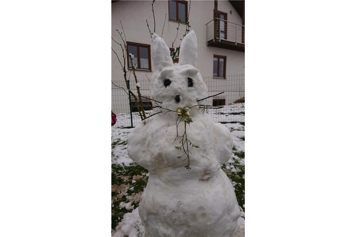 Dieser Schneehase wurde in BK- Strümpfelbach von Ella und Anne Wöhrle gebaut. 