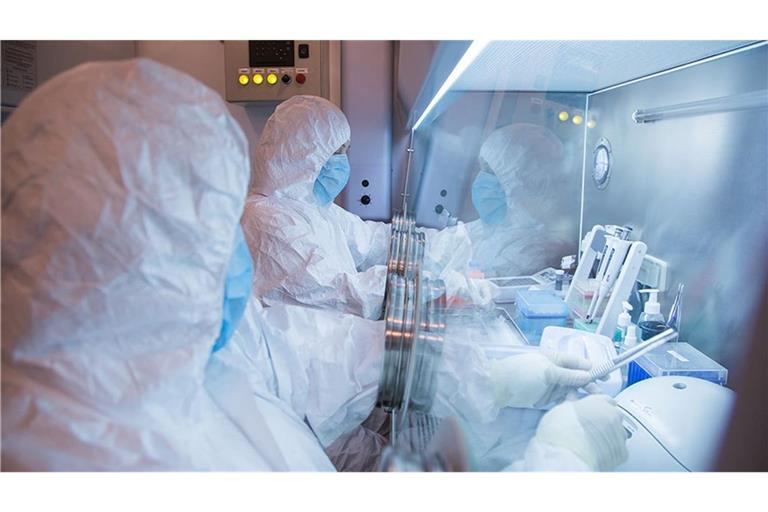 Dieses undatierte im Jahr 2019 aufgenommene Foto, das vom Forschungsinstitut für Pestbekämpfung in Irkutsk für Sibirien und den Fernen Osten via AP veröffentlicht wurde, zeigt Mitarbeiter des Instituts in einem Labor. (zu dpa: «Lungenpest-Verdacht: WHO und USA fordern Infos von Russland»)