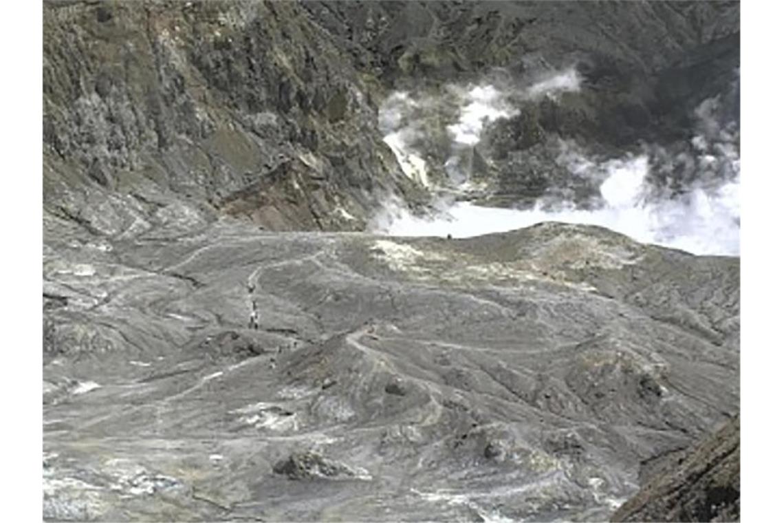 Dieses von GeoNet zur Verfügung gestellte Foto zeigt Touristen auf einem Pfad in der Nähe eines Vulkankraters auf der neuseeländischen Insel White Island. Foto: Uncredited/GeoNet/AP/dpa