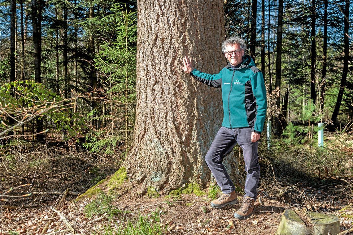 Dieter Seitz auf Tuchfühlung mit einer der 120 Jahre alten Douglasien im Gewann Hirschbühl. Fotos: Stefan Bossow