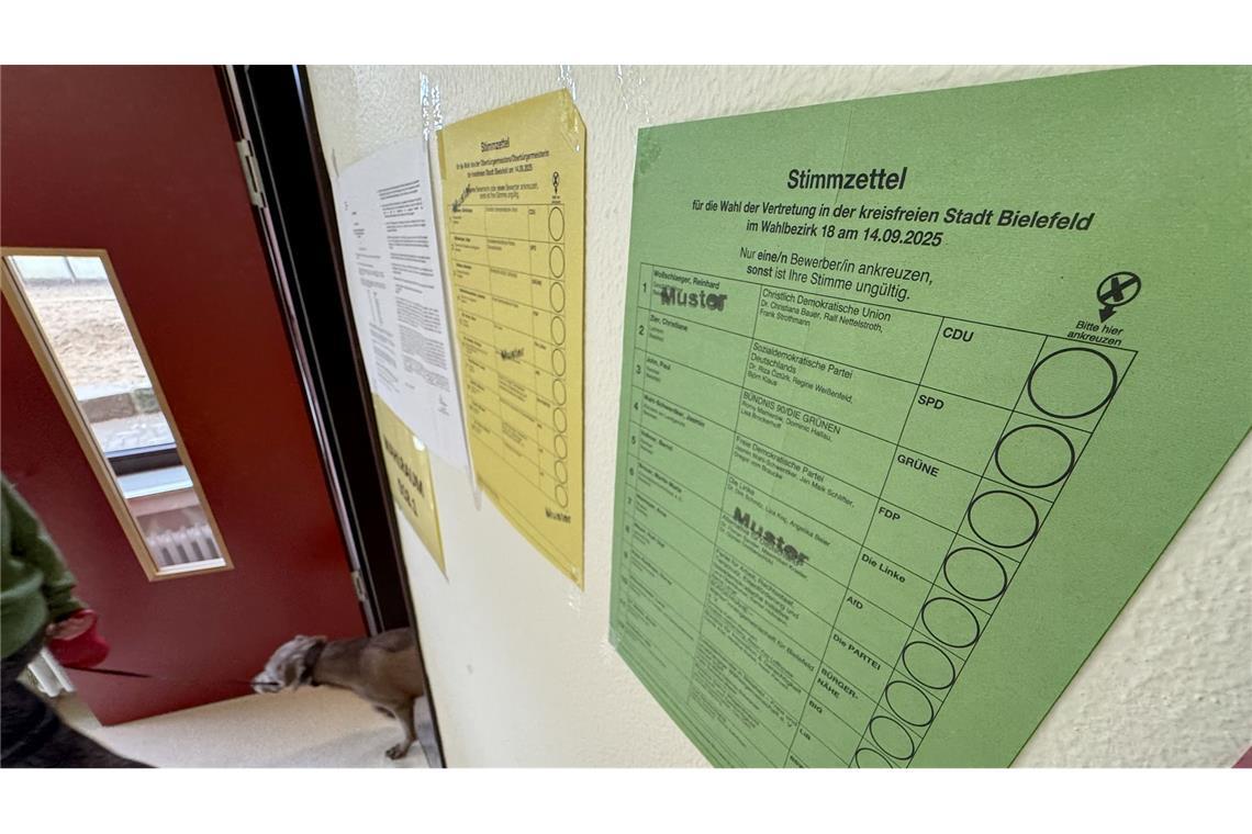 Digitale Wahlhilfen verzeichneten vorab Hunderttausende Klicks.