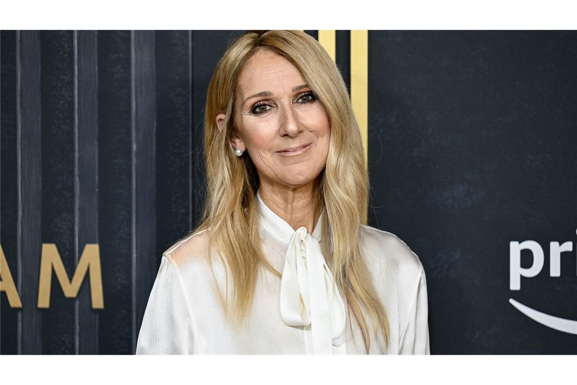 Dion gab immer wieder tiefe Einblicke in ihr Leben mit der Krankheit. (Archivbild)