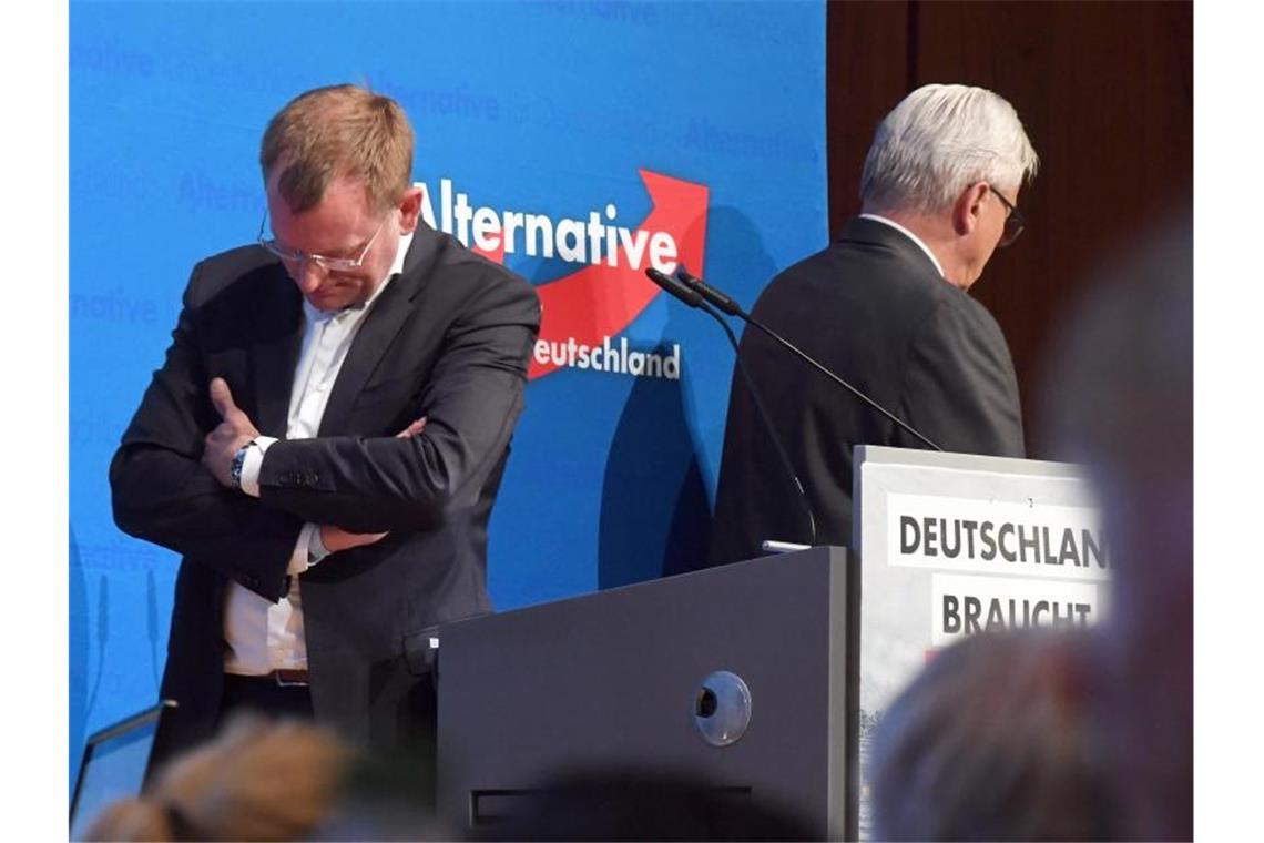 Dirk Spaniel (l.) und Bernd Gögel (beide AfD) bei einer Aussprache zum Zustand des Landesverbandes. Foto: Uli Deck/dpa/Archivbild