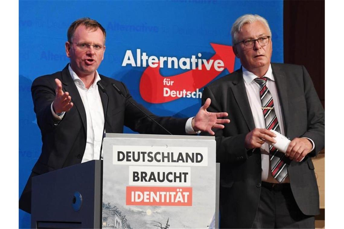 Dirk Spaniel (l) und Bernd Gögel stehen auf einem Podium. Foto: Uli Deck/dpa/Archivbild