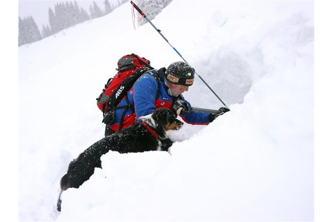 Lawinenhunde üben die Rettung aus meterhohem Schnee Dörg Stephan und Amira beim Lawinenhundekurs. Foto: Karl-Josef Hildenbrand/dpa