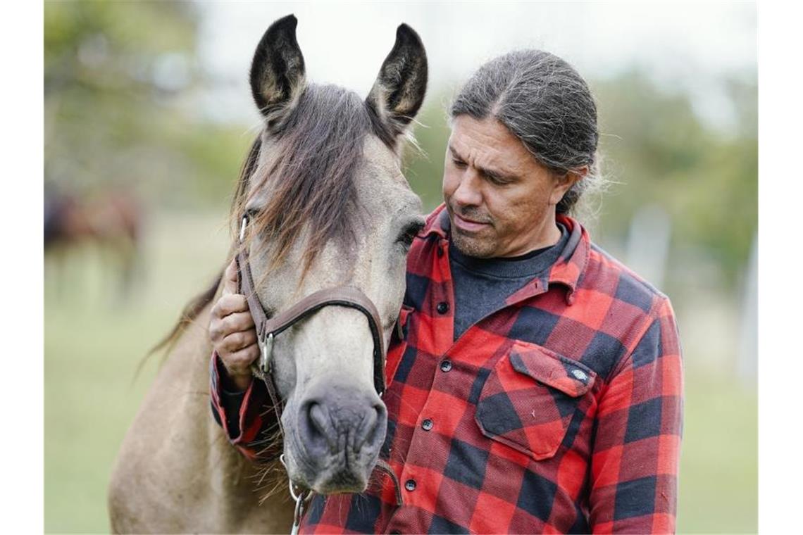 Tierhalter besorgt wegen verletzter Pferde