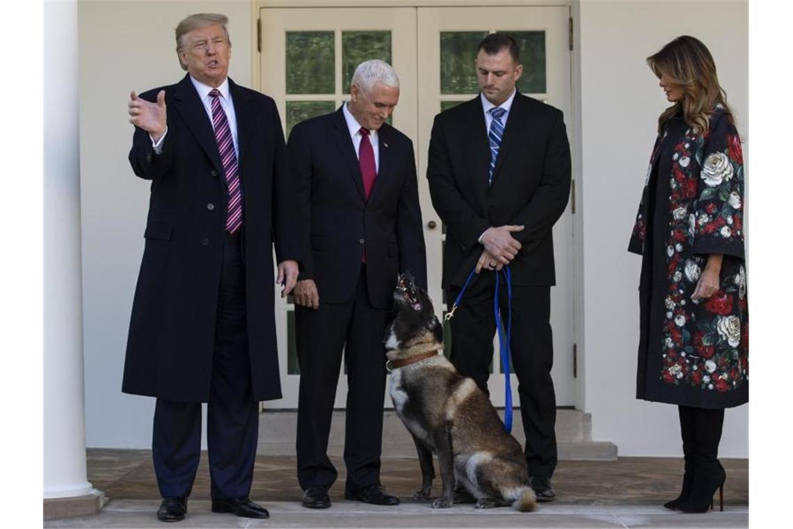 Nach Angriff auf Al-Bagdadi: Trump ehrt Militärhund Conan Donald Trump bei der Ehrung für Conan. Foto: Evan Vucci/AP/dpa