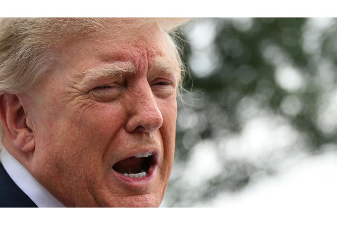 Donald Trump hat eine „Energie-Waffenruhe“ zwischen Russland und der Ukraine verkündet (Archivbild).