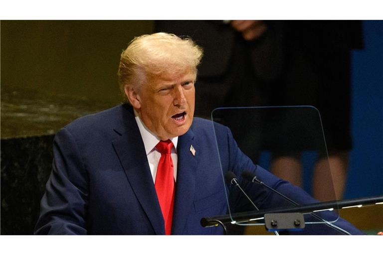 Donald Trump sagte auf die Frage einer Journalistin, er sei für den Abschuss russischer Flugzeuge, wenn diese unrechtmäßig in den Luftraum von Nato-Staaten eindringen.
