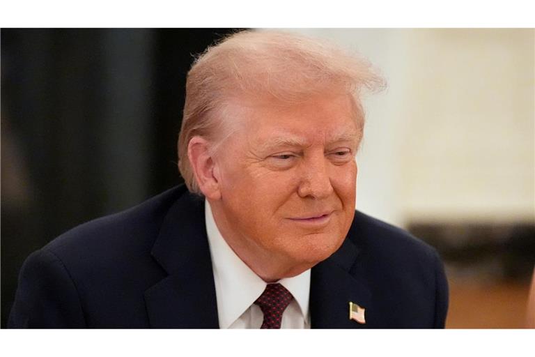 Donald Trump sieht in der Milliardenstrafe gegen Google vor allem eine Attacke auf ein US-Unternehmen. (Archivbild)