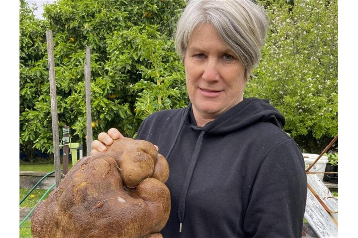 Keine Kartoffel: Kein Rekord für Neuseeländer Donna Craig-Brown hält „Dug“ (zunächst hieß sie "Doug"), die vermeintlich größte Kartoffel der Welt, im Garten ihrer kleinen Farm hoch. Foto: Colin Craig-Brown/Colin Craig-Brown/AP/dpa