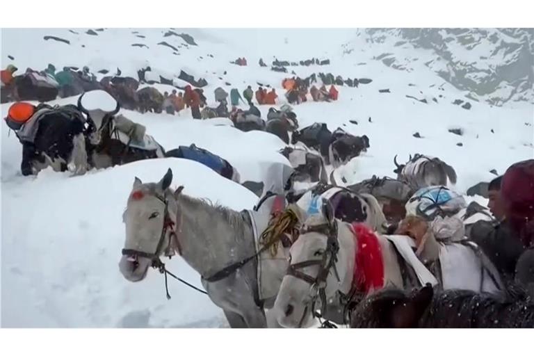 Dorfbewohner stiegen mit Pferden und Ochsen auf den Mount Everest, um zu den Wanderern zu gelangen. (Archivbild)