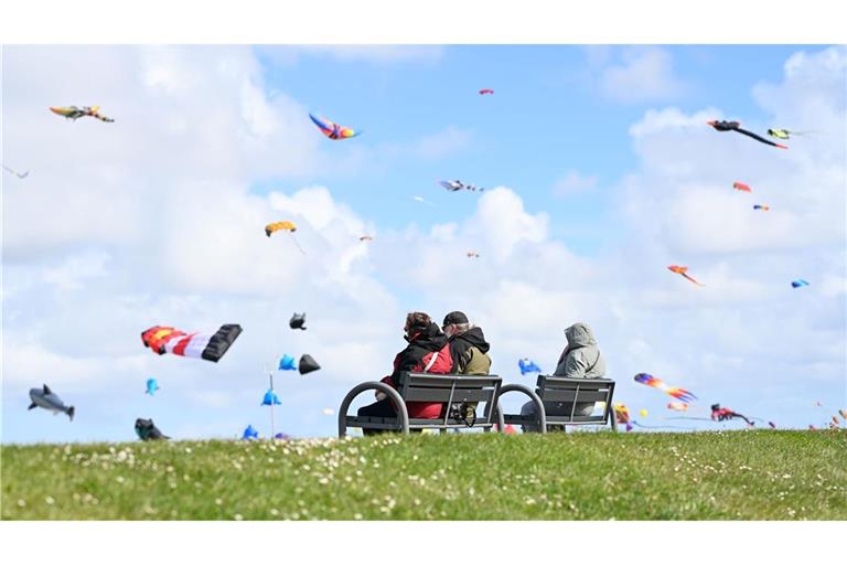 Drachenfest Norddeich: Großdrachen und Flugshows vor Nordsee-Kulisse