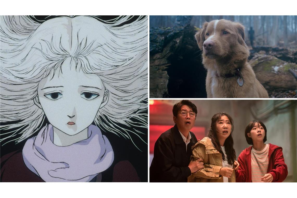 Drei unserer fünf  Tipps fürs Fantasy Filmfest (von links im Uhrzeigersinn): „Angel’s Egg“, „Good Dog“, „Hi-Five“.