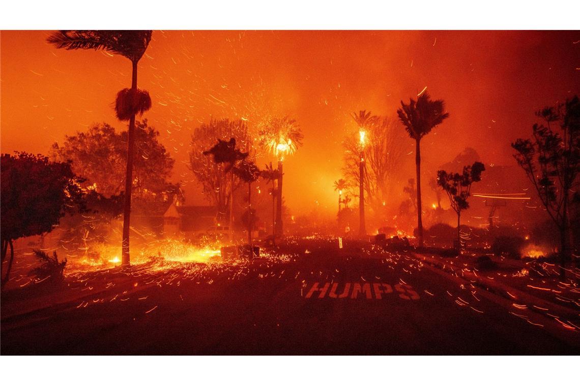 Brände in Los Angeles: Zwei Feuer weiterhin außer Kontrolle Drei von fünf Feuern konnten die Einsatzkräfte bis jetzt noch überhaupt nicht unter Kontrolle bringen.