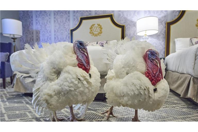 Dürfen weiterleben: Die Truthähne Waddle und Gobble.