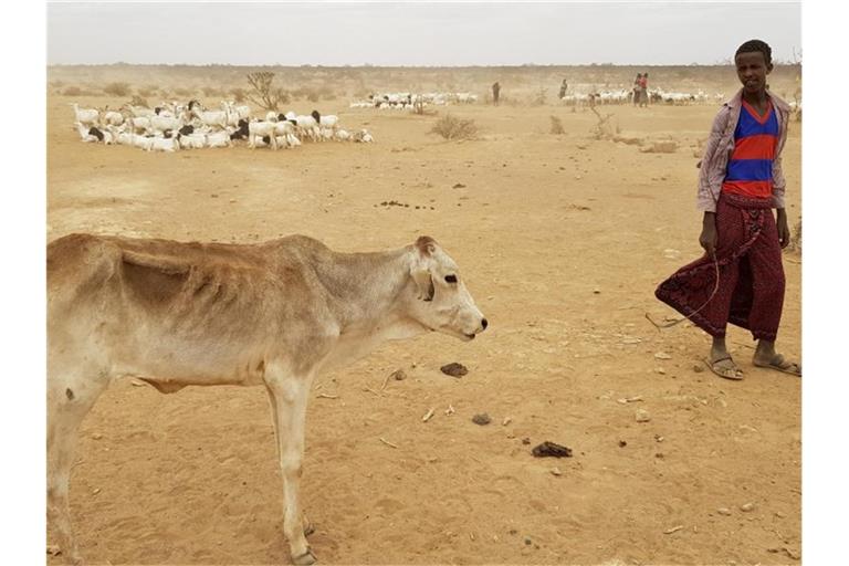 Dürre in Äthiopien: Die Weltklimakonferenz hat beschlossen, einen Fonds für arme Länder weiterzuführen. Foto: Elias Meseret/AP/dpa