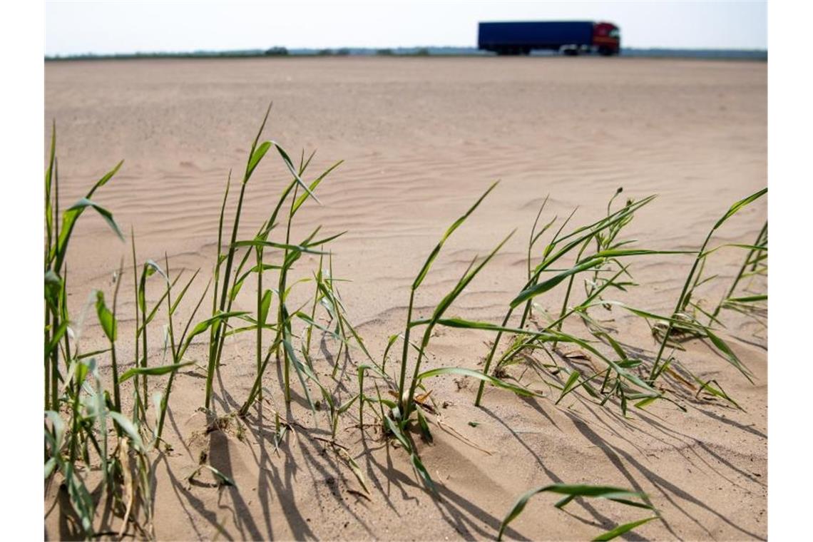 Weltklimarat veröffentlicht Bericht zur Erderwärmung Dürren, Hitzewellen, Überschwemmungen und die Versalzung von Böden infolge des Klimawandels sind für die Ernährung der Weltbevölkerung eine erhebliche Bedrohung. Foto: Monika Skolimowska