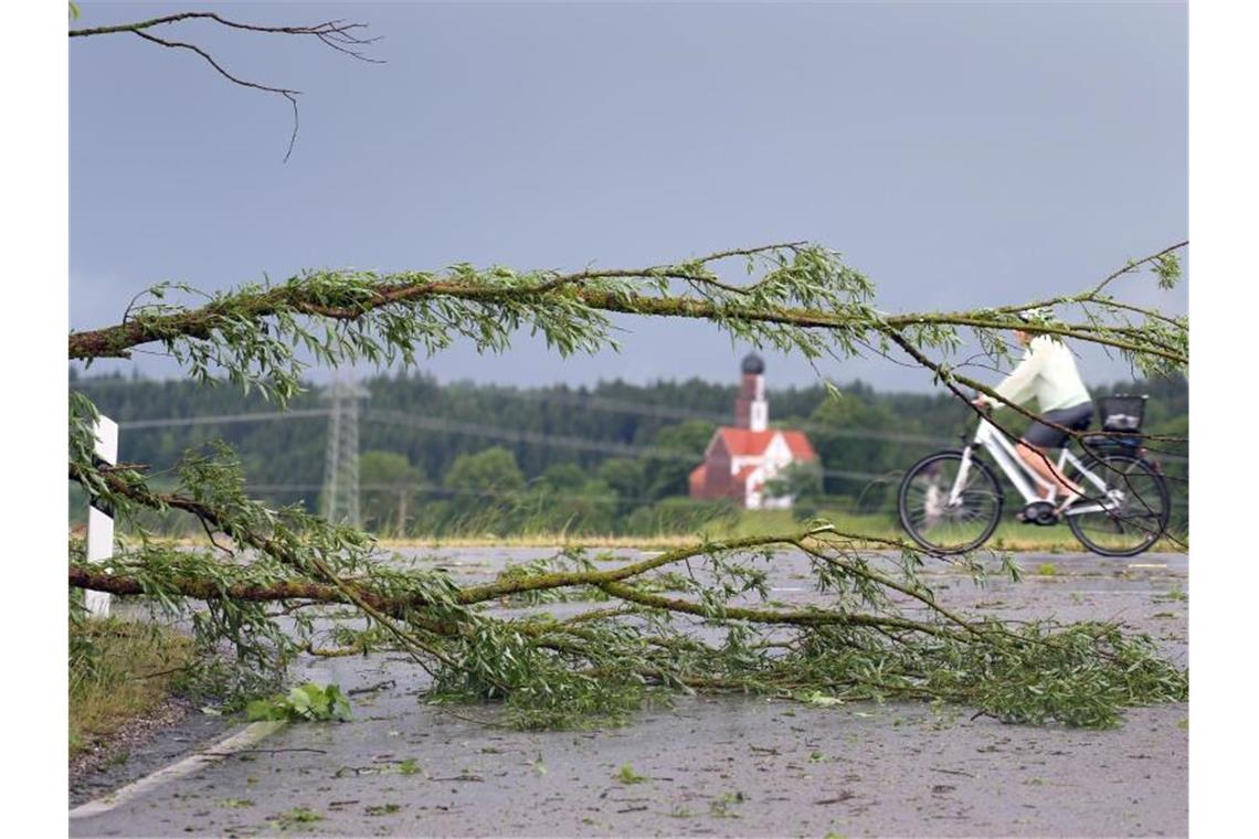 Starkregen, Gewitter und Hagel über Deutschland Durch das Sturmtief umgestürzte Bäume wurden aus vielen Regionen gemeldet. Foto: Karl-Josef Hildenbrand