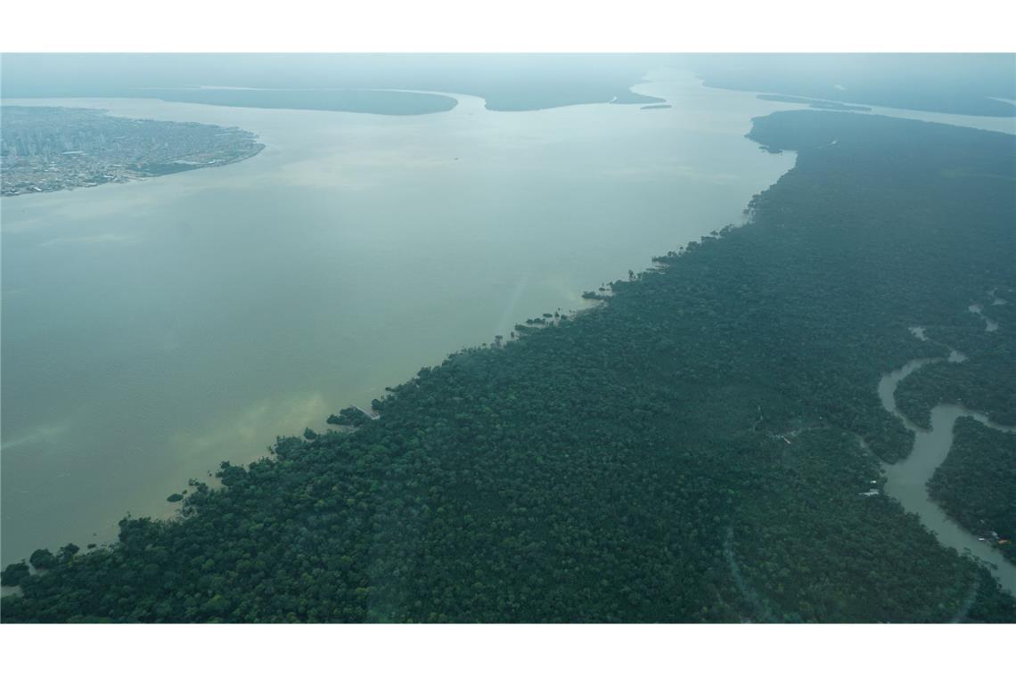 Durch den an die Millionenstadt Belém grenzenden Wald fließt der Fluss Guama.