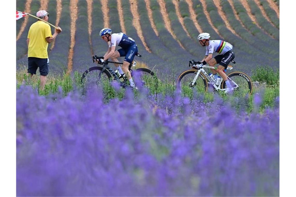 Van Aert gewinnt Ventoux-Etappe der Tour de France Durch den Lavendel der Provence: Dan Martin und Julian Alaphilippe (r) auf dem Weg Richtung Mont Ventoux. Foto: David Stockman/BELGA/dpa