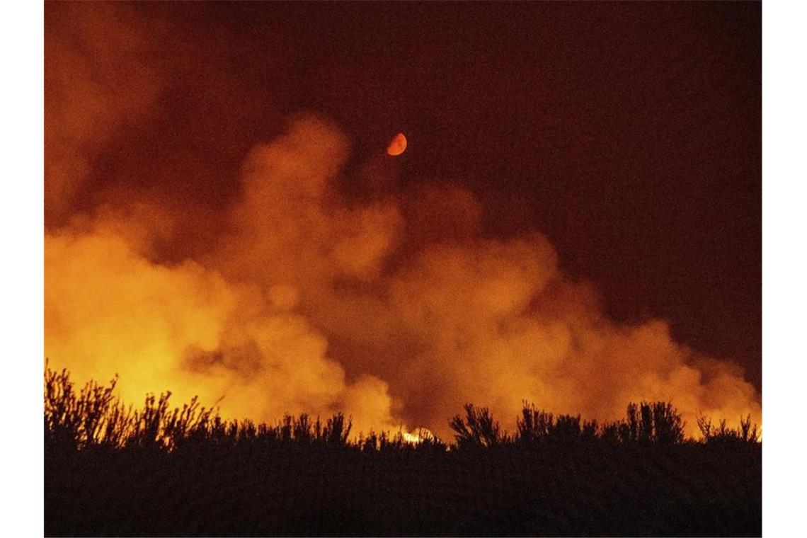 Neue Waldbrände in Kalifornien - Viele Ortschaften bedroht Durch die kritische Wetterlage in der Region haben sich mehrere Waldbrände in Nordkalifornien ausgebreitet. Foto: Noah Berger/FR34727 AP/dpa