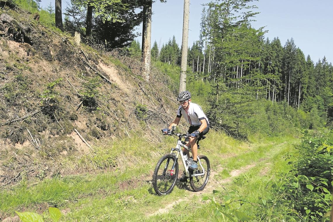 Auf dem Mountainbike im Schwäbischen Wald