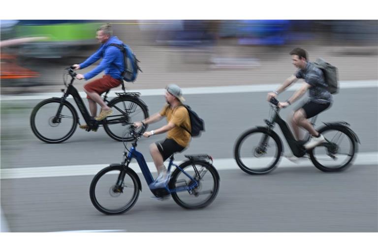 E-Bikes dominieren den deutschen Fahrradmarkt. (Archivbild)