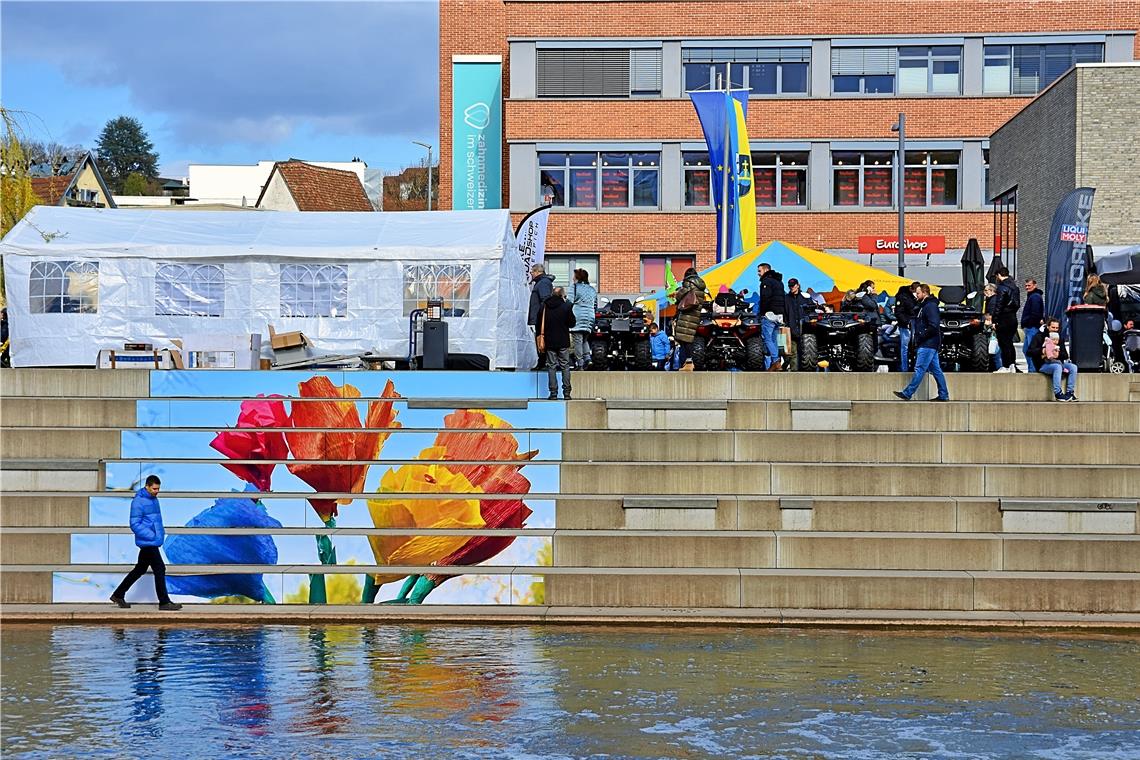 Winterlicher Tulpenfrühling Echte Hingucker: Die von der Jugendkunstschule Backnang gestalteten Tulpengemälde an der Bleichwiesentreppe (Foto), aber auch an der Übergangstreppe zwischen Graben- und Uhlandstraße.