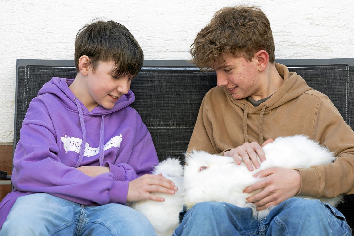 Edward (links) und Lorenz sind die beiden jüngsten Mitglieder im Kleintierzüchterverein Aspach/Backnang. Mit Angorakaninchen Millie nimmt Lorenz auch an Kleintierzüchterschauen teil. Foto: Alexander Becher