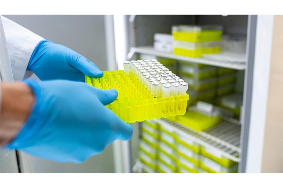 Ehec: Inzwischen zehn Kinder und zwei Erwachsene erkrankt Ehec steht für enterohämorrhagische Escherichia coli und bezeichnet bestimmte krankmachende Stämme dieses im Darm vorkommenden Bakteriums.