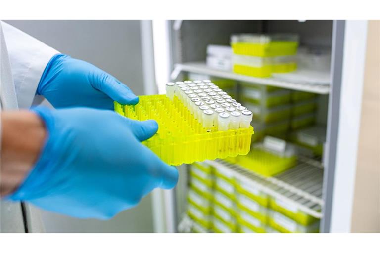 Ehec steht für enterohämorrhagische Escherichia coli und bezeichnet bestimmte krankmachende Stämme dieses im Darm vorkommenden Bakteriums.