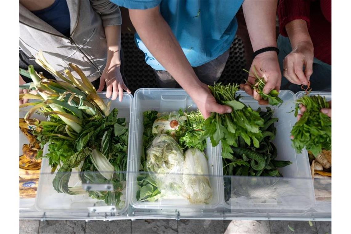 Zu viel Essen im Müll: Aktionswoche soll helfen Ehrenamtliche Helfer sortieren Lebensmittel in einer Foodsharing-Station. Foto: Marijan Murat/dpa