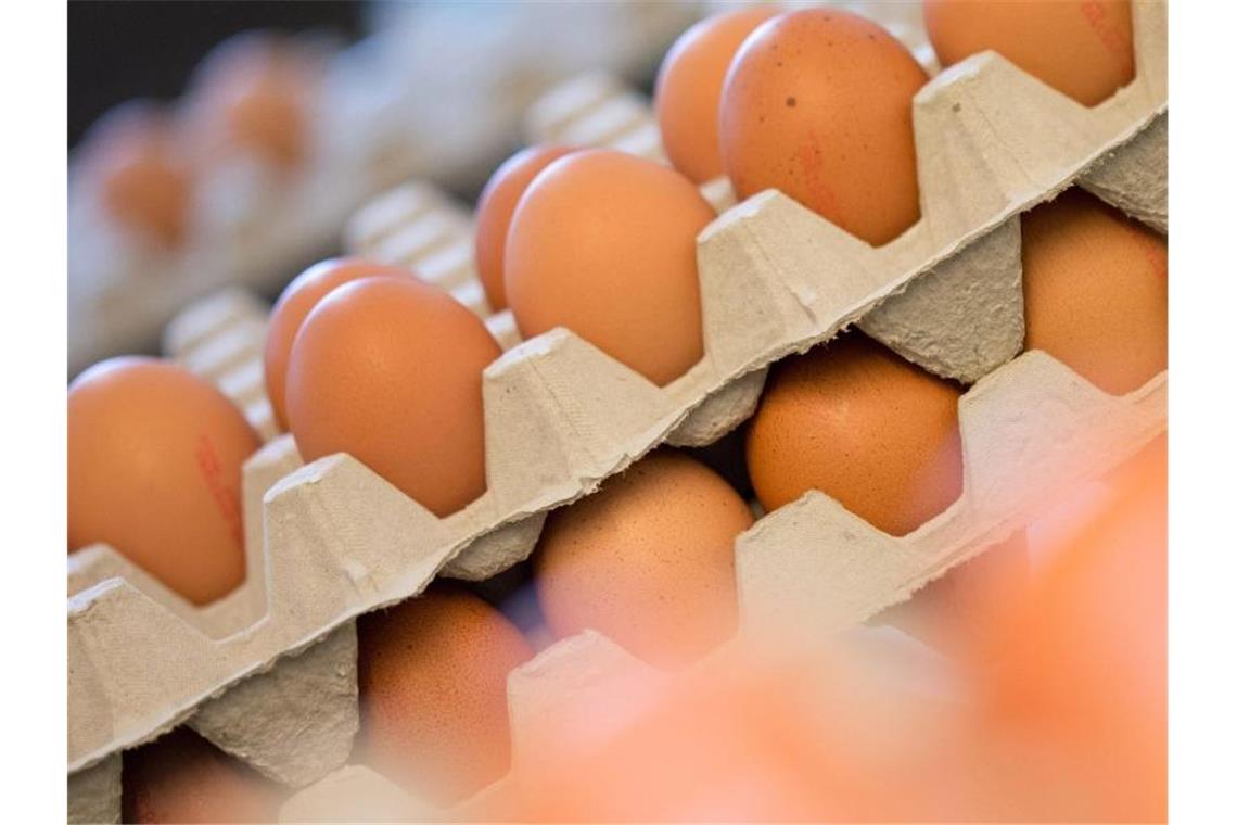 Bund und Land: Haltungsinfos auch bei verarbeiteten Eiern